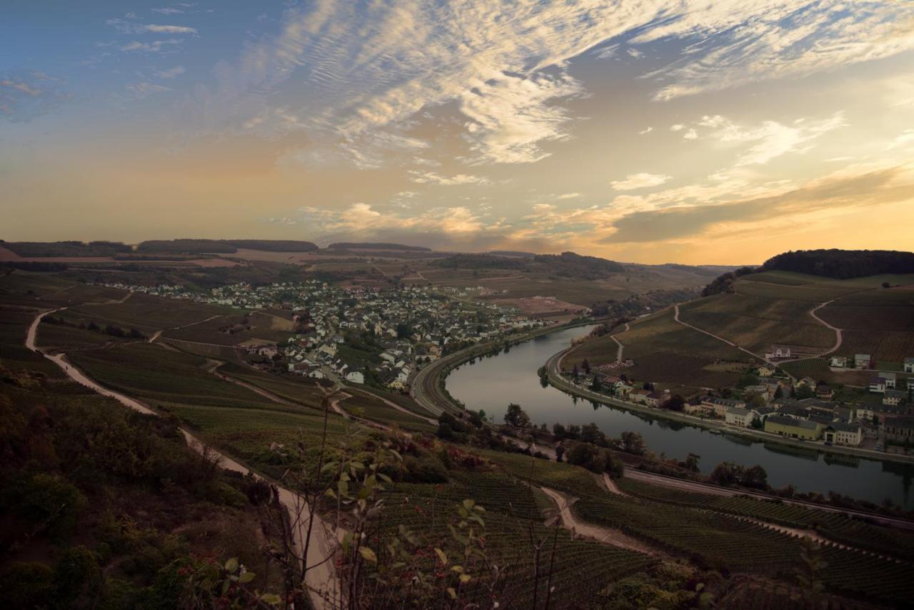 Weingut Und Gaestehaus Zilliken Ніттел Екстер'єр фото