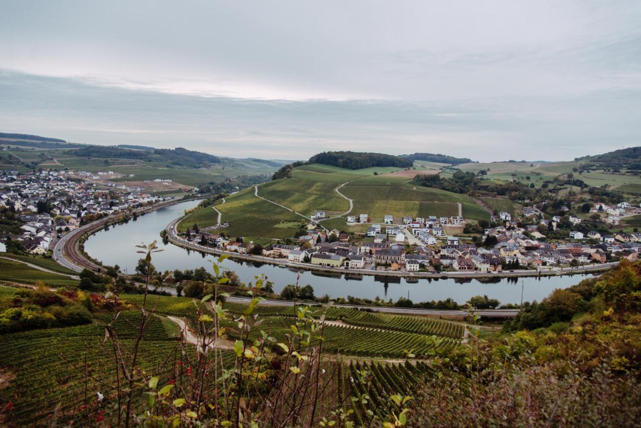 Weingut Und Gaestehaus Zilliken Ніттел Екстер'єр фото